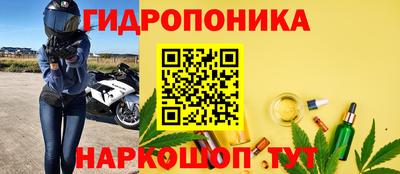 соль ск Новодвинск