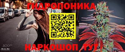 круглые Новозыбков