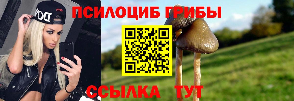 Галлюциногенные грибы Magic Shrooms Сухой Лог