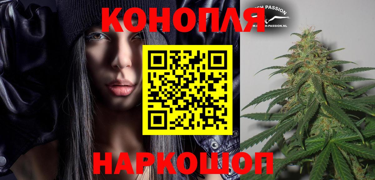 Бошки Шишки семена Сухой Лог